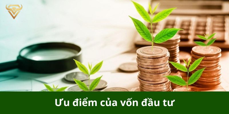 Ưu điểm của vốn đầu tư